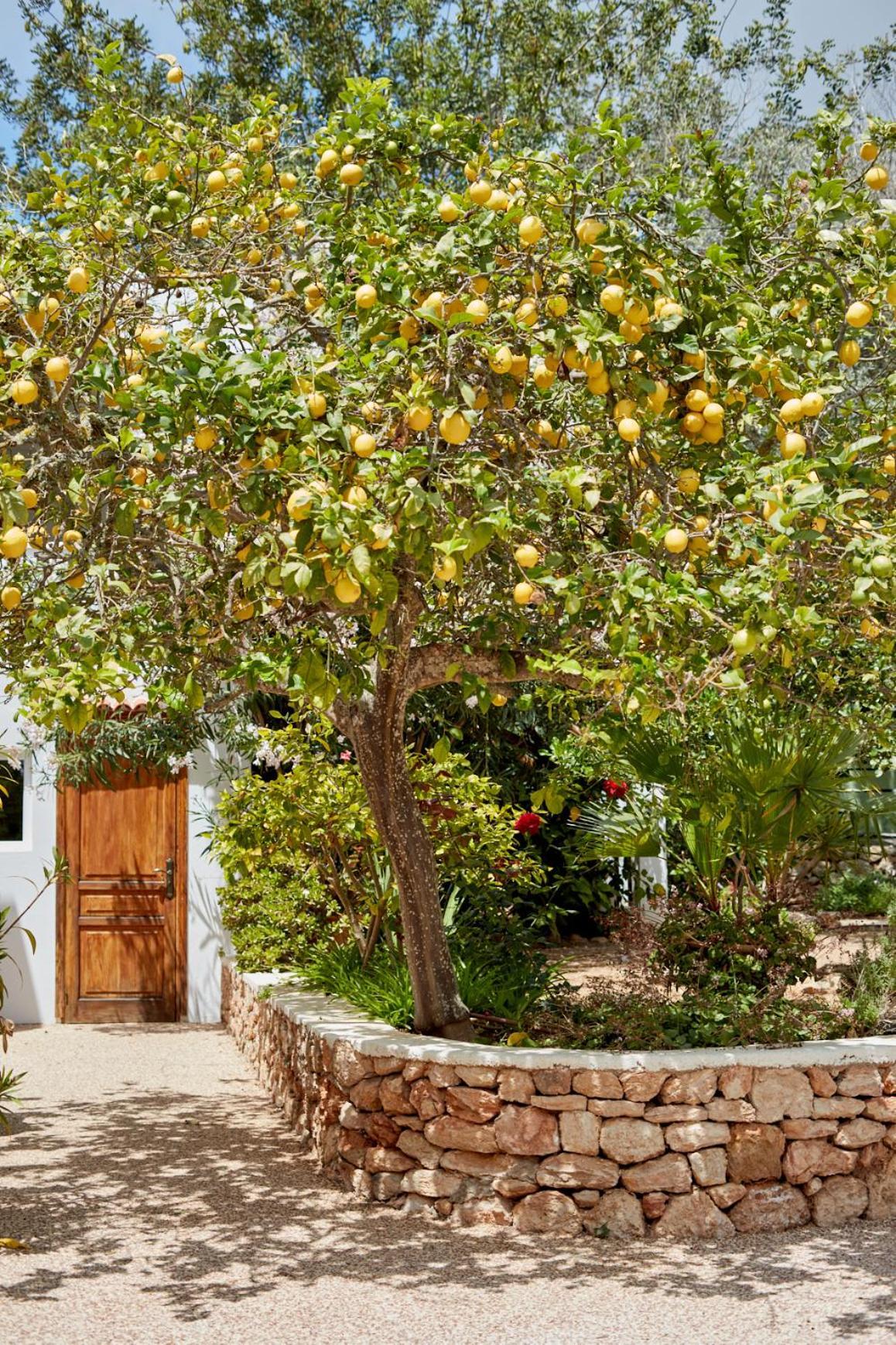 Valley Club Ibiza - Boutique Agroturismo Сан-Джоан-де-Лабріджа Екстер'єр фото