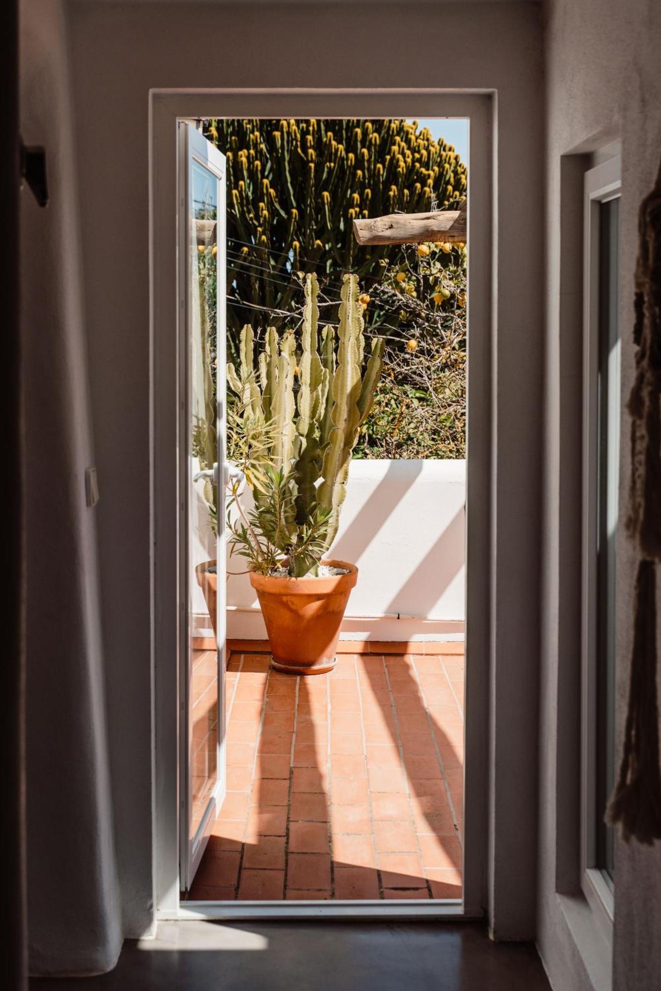 Valley Club Ibiza - Boutique Agroturismo Сан-Джоан-де-Лабріджа Номер фото