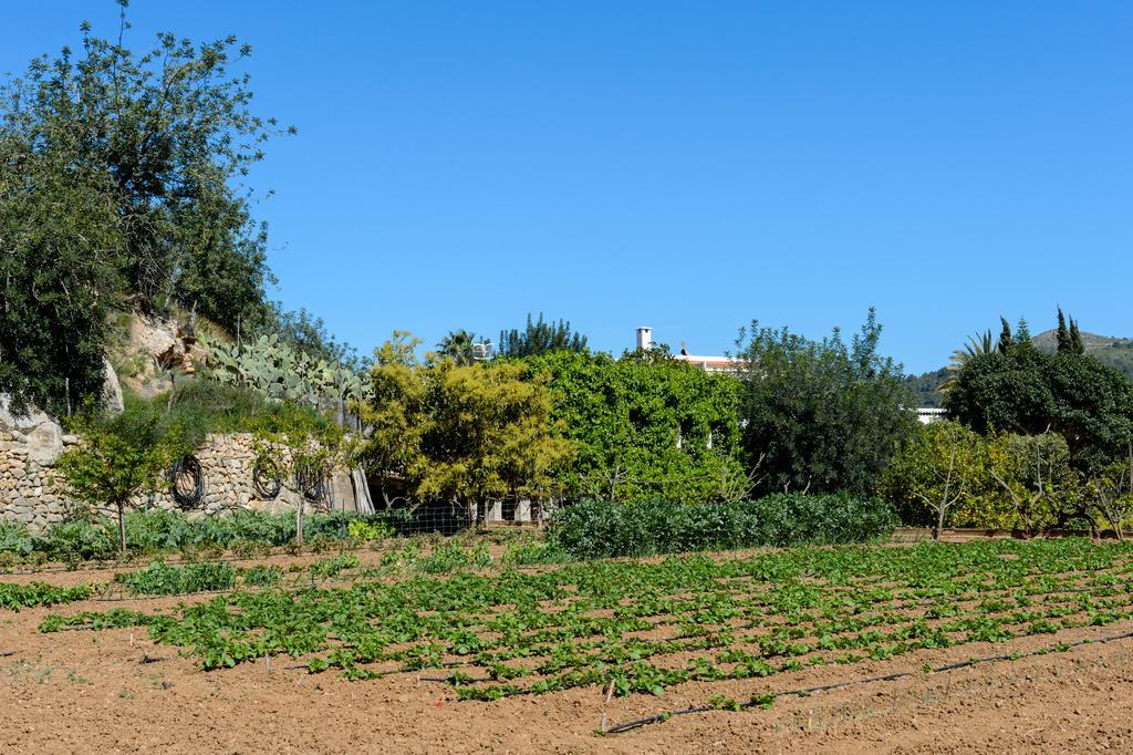 Valley Club Ibiza - Boutique Agroturismo Сан-Джоан-де-Лабріджа Екстер'єр фото